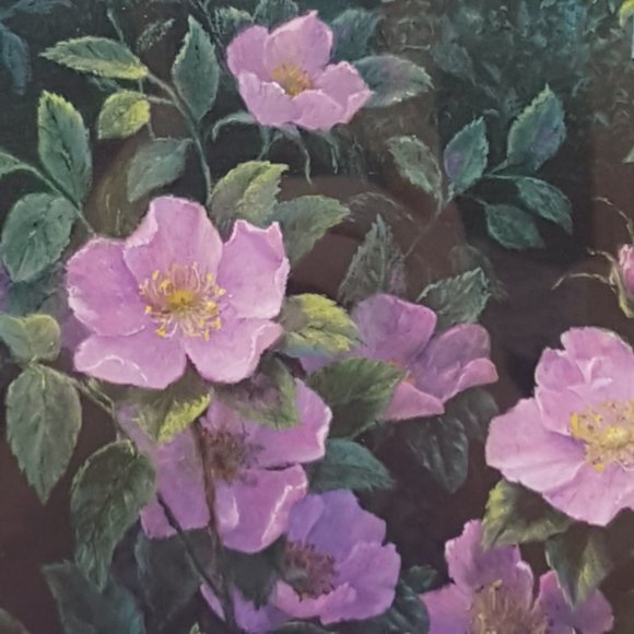 Framed Art Prints Alberta Wild Rose IV and Alberta Wild Rose VI by Elsie Baer - Picture 10 of 16